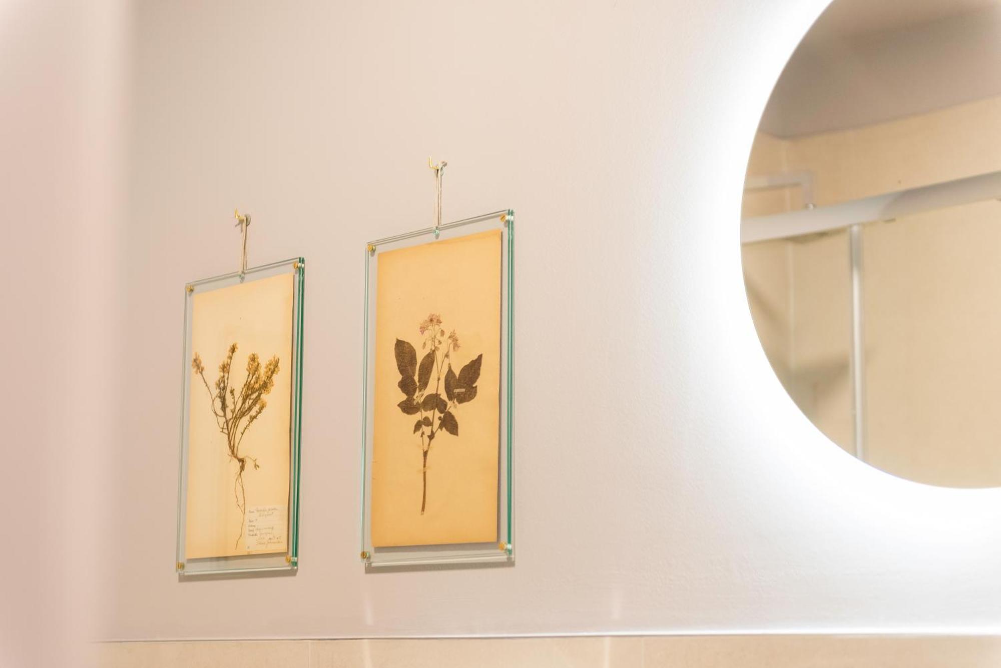 Regina Boutique Suites Triest Zewnętrze zdjęcie